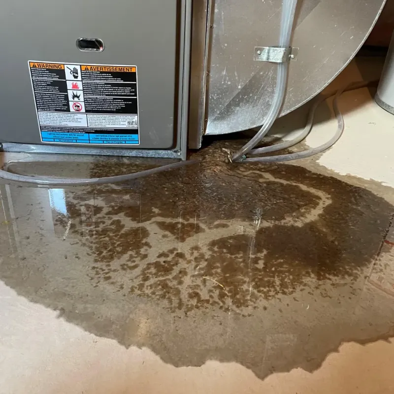 Appliance Leak Cleanup in Alameda, CA
