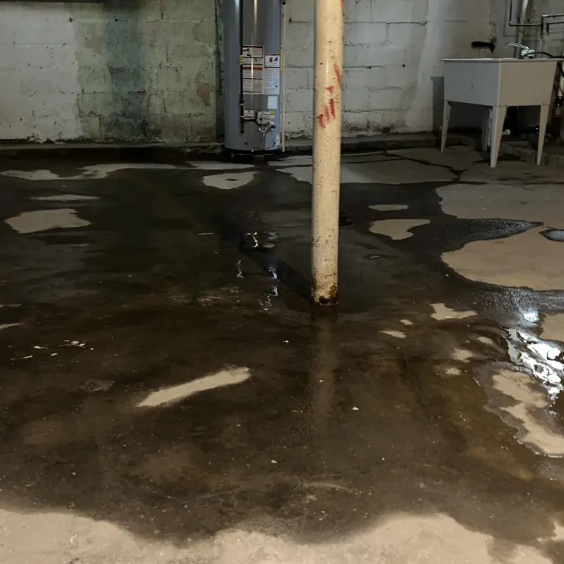 Emergency Water Extraction And Removal in Alameda, CA